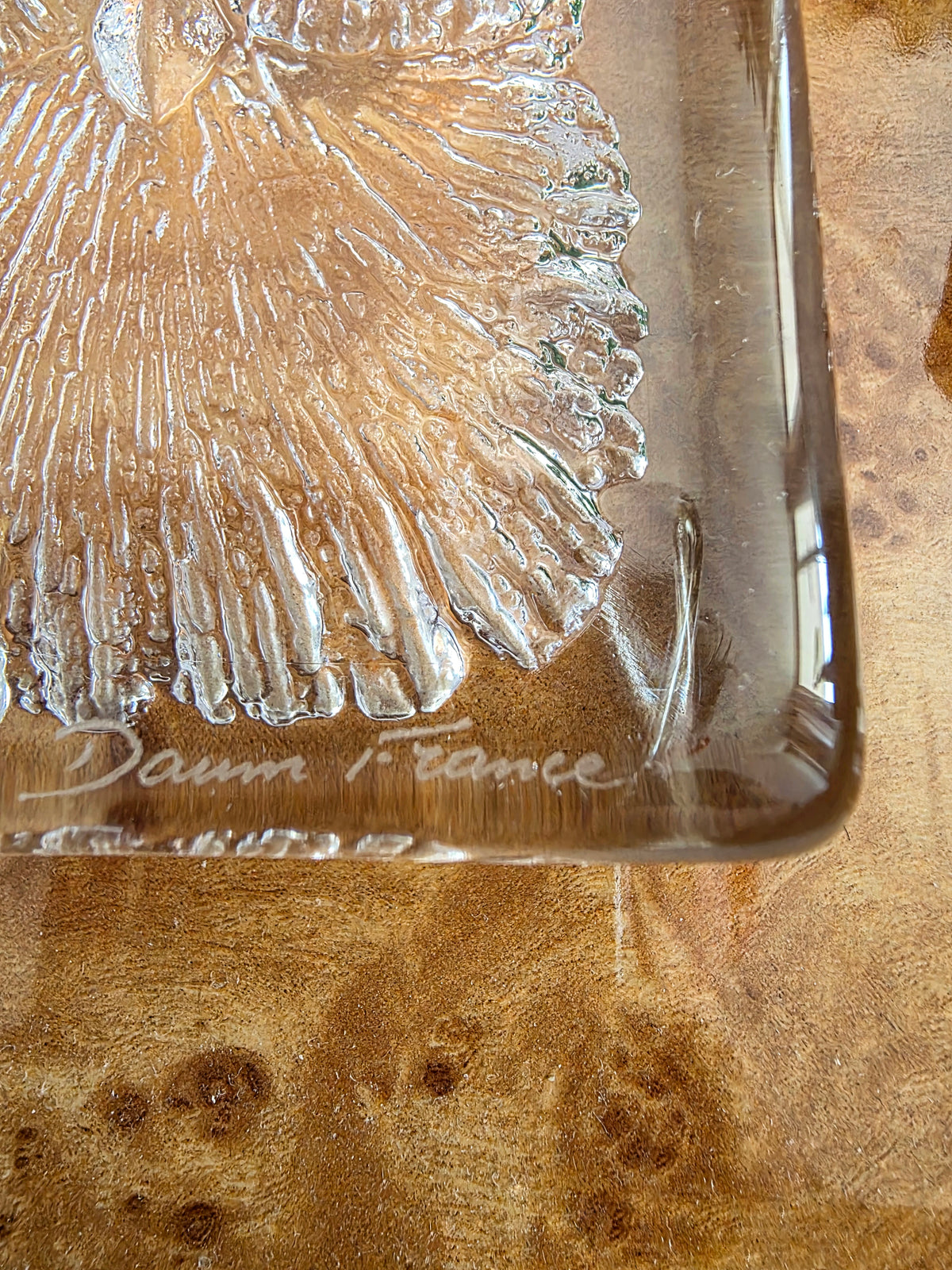 Chouette en cristal Daum France
